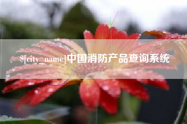 石狮中国消防产品查询系统