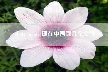 石狮现在中国哪几个金牌