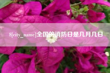 石狮全国的消防日是几月几日