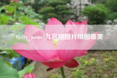 石狮九宫格图片组图唯美