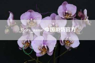 石狮中国消防官方
