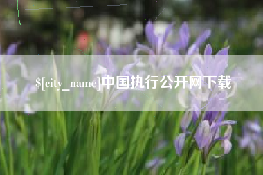 石狮中国执行公开网下载