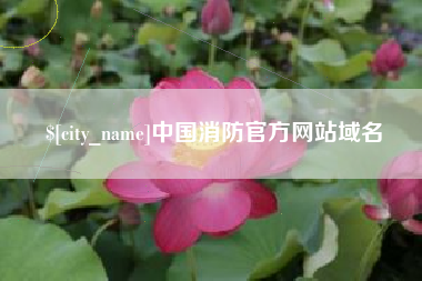 石狮中国消防官方网站域名