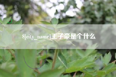 石狮王子豪是个什么