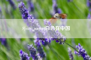石狮白色在中国