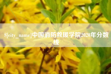 石狮中国消防救援学院2020年分数线