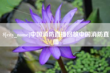 石狮中国消防直播回放中国消防直播
