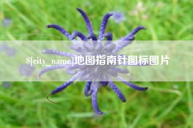 石狮地图指南针图标图片