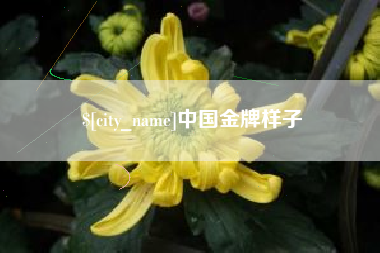 石狮中国金牌样子