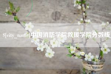 石狮中国消防学院救援学院分数线