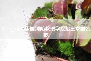 石狮中国消防救援学院招生章程公布!