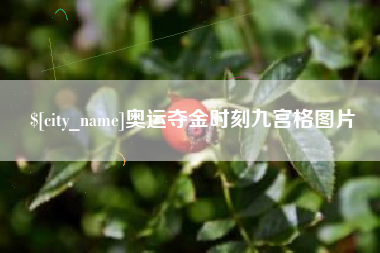 石狮奥运夺金时刻九宫格图片