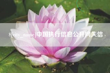 石狮中国执行信息公开网失信
