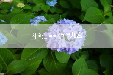 石狮2022九宫