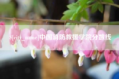 石狮中国消防救援学院分数线