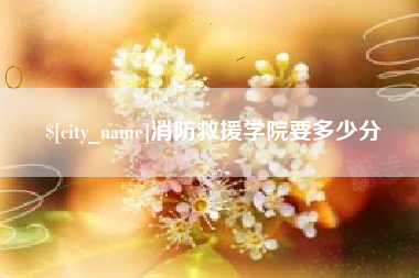 石狮消防救援学院要多少分