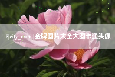 石狮金牌图片大全大图卡通头像