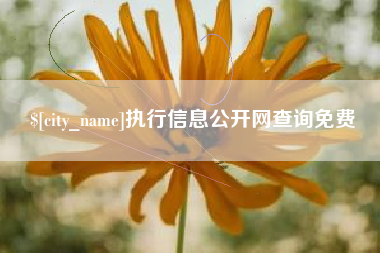 石狮执行信息公开网查询免费