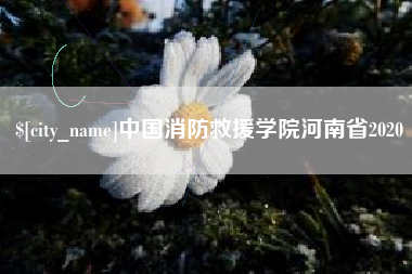 石狮中国消防救援学院河南省2020